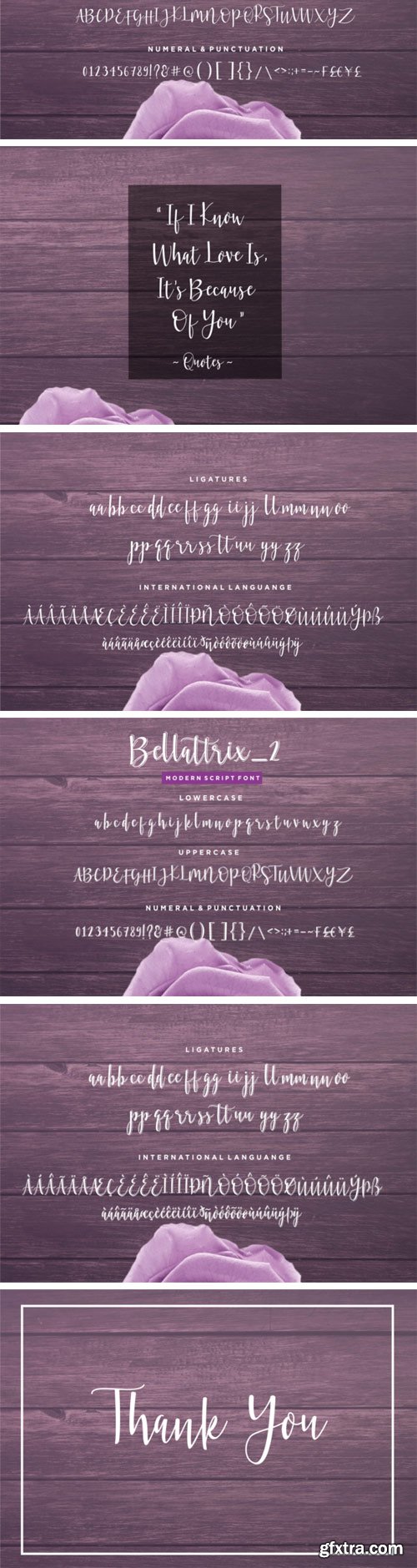 Creativefabrica - Bellattrix