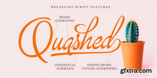 Breakfast Script Font Family