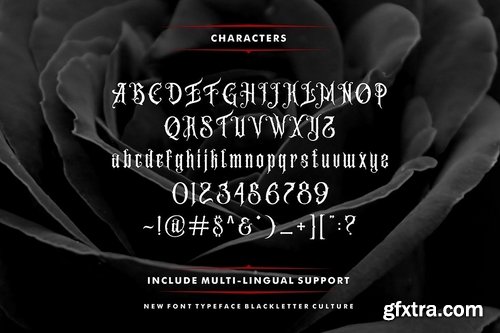 CM - Amstrong Typeface (intro sale) 2380983