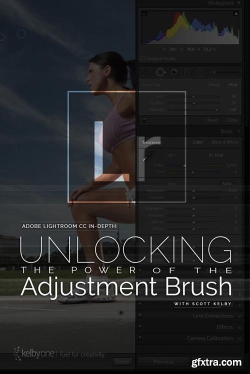 Adobe Lightroom CC In-Depth: Unlocking the Power of the Adjustment Brush