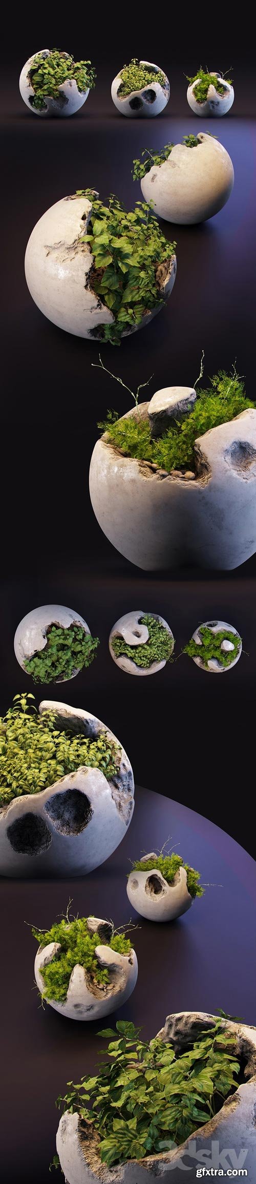 3dsky - Round concrete pots with plants