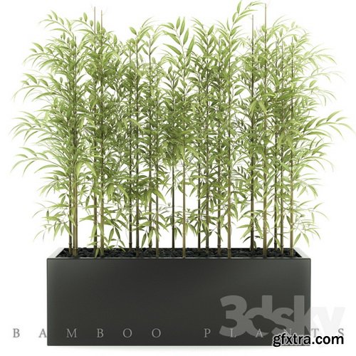 3dsky - BAMBOO PLANTS 49