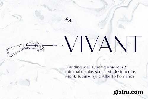 Bw Vivant Font Family - 7 Fonts