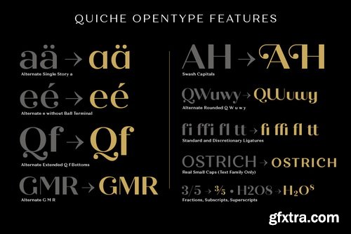 Quiche Font Family