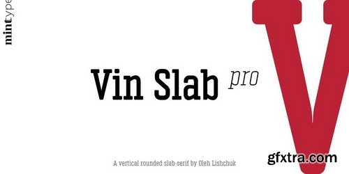 Vin Slab Pro Font Family