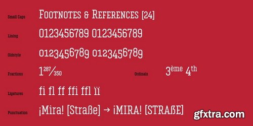 Vin Slab Pro Font Family