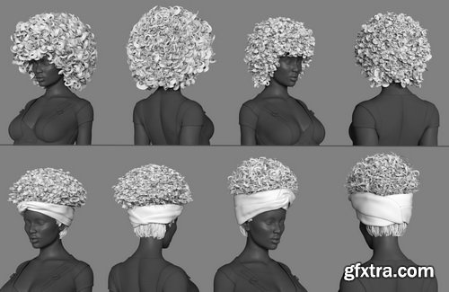 Daz3D - Zahara Hair 2 for Genesis 8 Female(s)