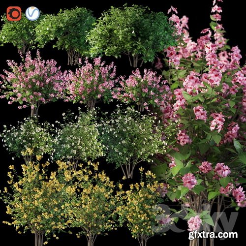 3dsky - Set flowering shrubs 4