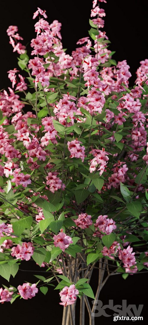 3dsky - Set flowering shrubs 4