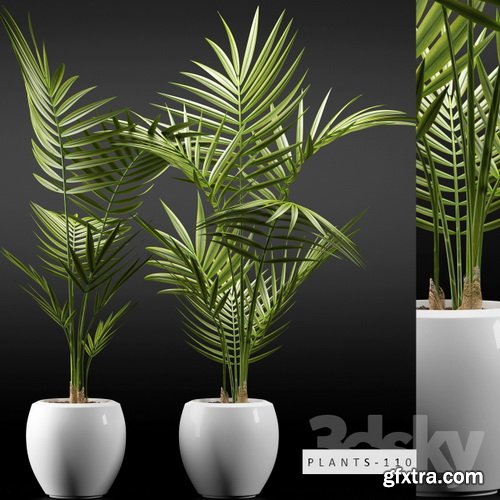 3dsky - PLANTS 110