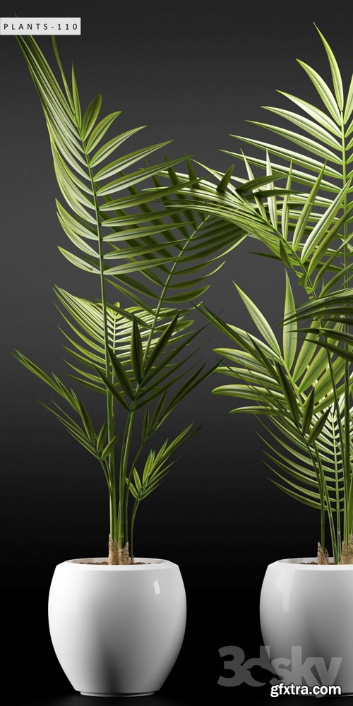 3dsky - PLANTS 110