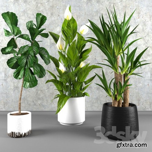 3dsky - Contemporary houseplant set 3