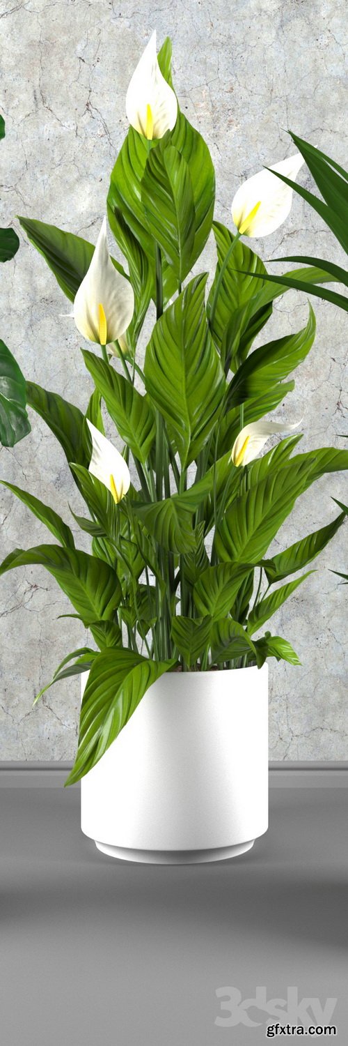 3dsky - Contemporary houseplant set 3