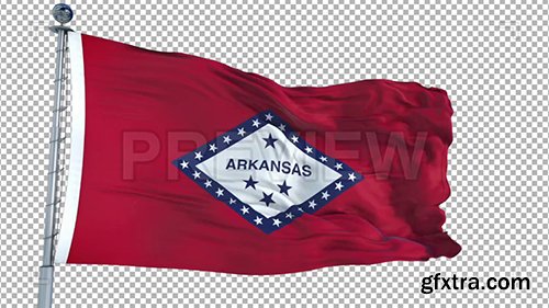 Arkansas Flag 73913