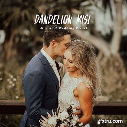 Andrewsuncolor - Dandelion Mist Lightroom Presets