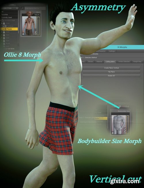 Daz3D - X-Morphs