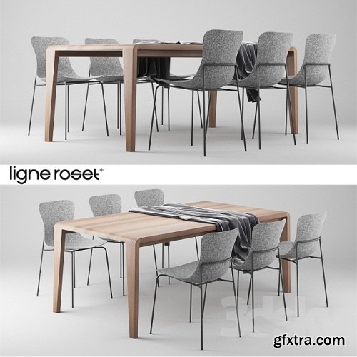 Ligne Roset SpiritOfForest Table and Ettoriano Chair