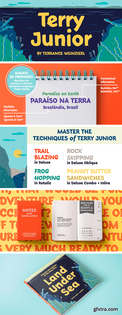 Terry Junior Font Family