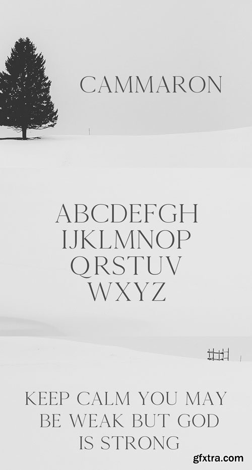 Cammron Serif Font