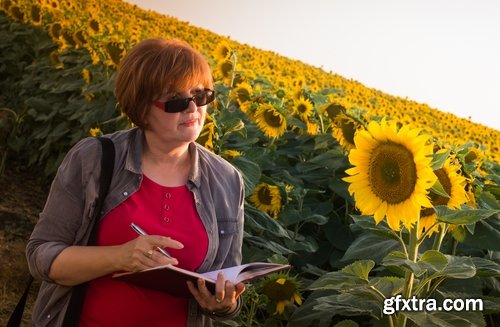 Agronomist farmer checking agricultural crop breeding 25 HQ Jpeg