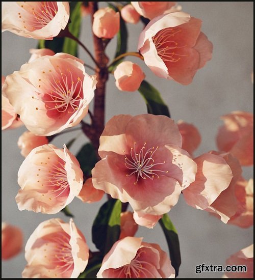 Branch with flowers