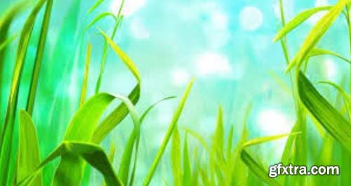 Animated grass background - Motion Graphics 82594