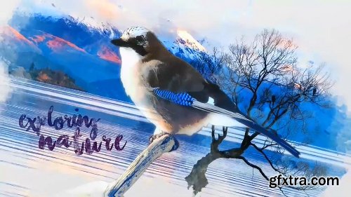 Videohive The Freeze Maker 21755026