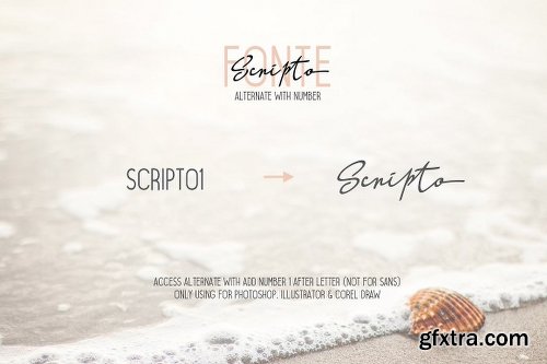 CreativeMarket Scripto Fonte Font Duo 2545367