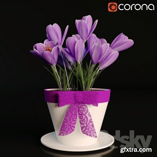 A pot of crocuses 3d Model