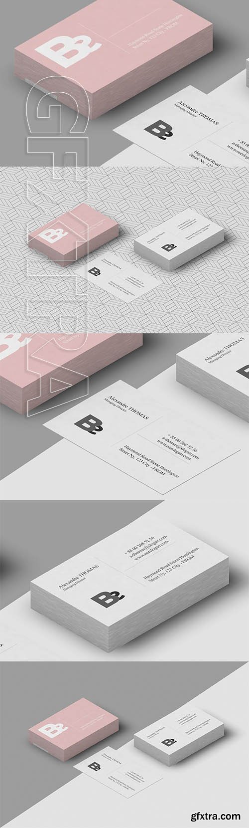 GraphicRiver - Psd Business Card Mockup 2556016