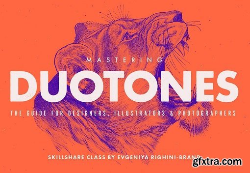 Mastering Duotones in Photoshop