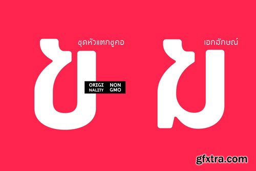 Chalom Font Family