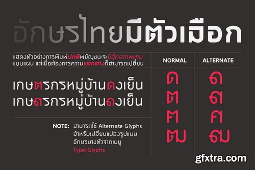 Chalom Font Family