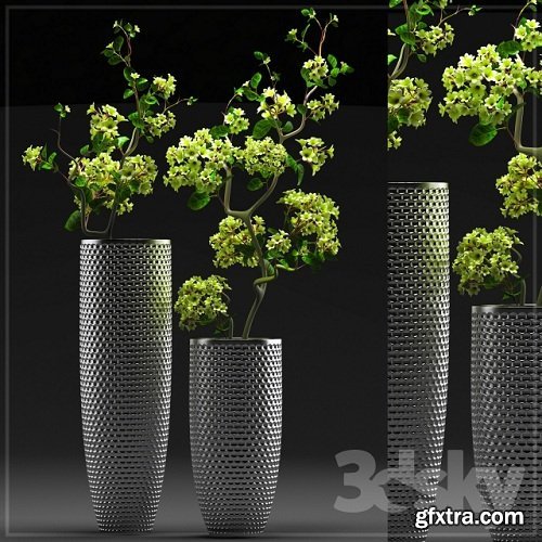 FLOWER SET 3 3d Model