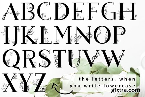 CM - Blossom Font + EXTRAS 2538796