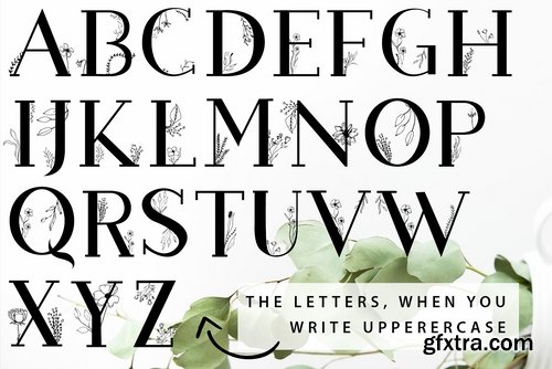 CM - Blossom Font + EXTRAS 2538796