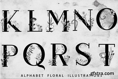 CM - Blossom Font + EXTRAS 2538796