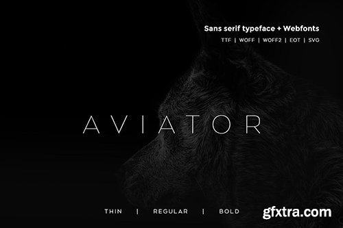 Aviator - Modern Typeface + WebFont