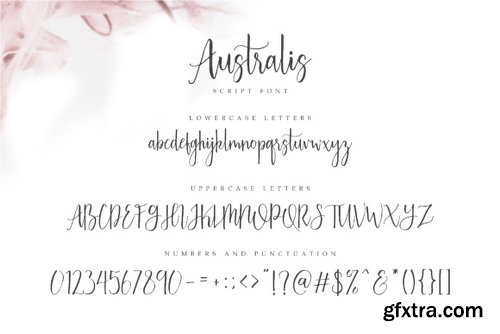 Australis Font Family - 2 Fonts