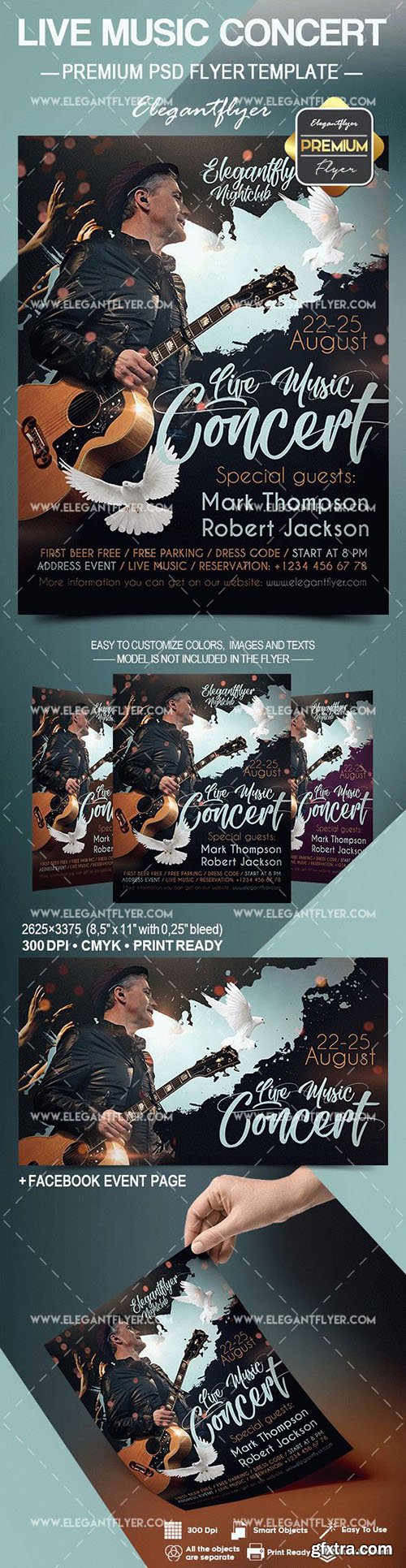 Live Music Concert – Flyer PSD Template