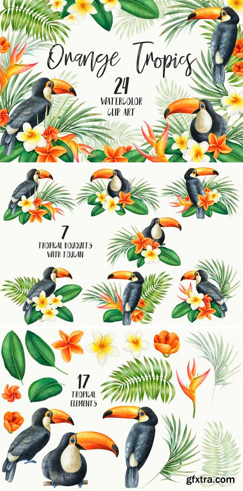 CM - Watercolor Orange Tropics. Toucan 2486518