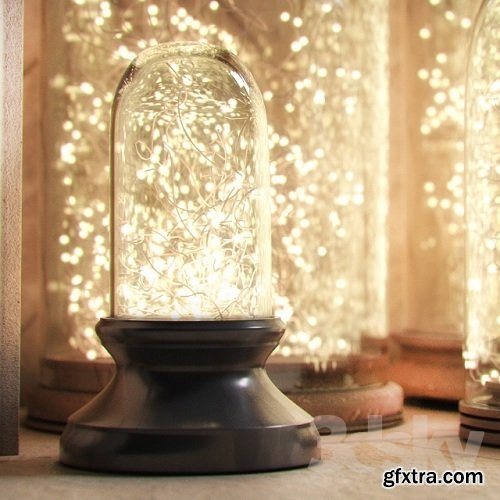 RH French Glass Cloche and Starry String lights