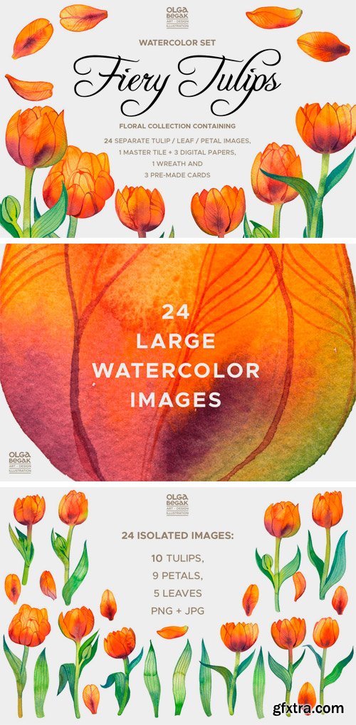 CM - Fiery Tulips Watercolor Collection 2394687