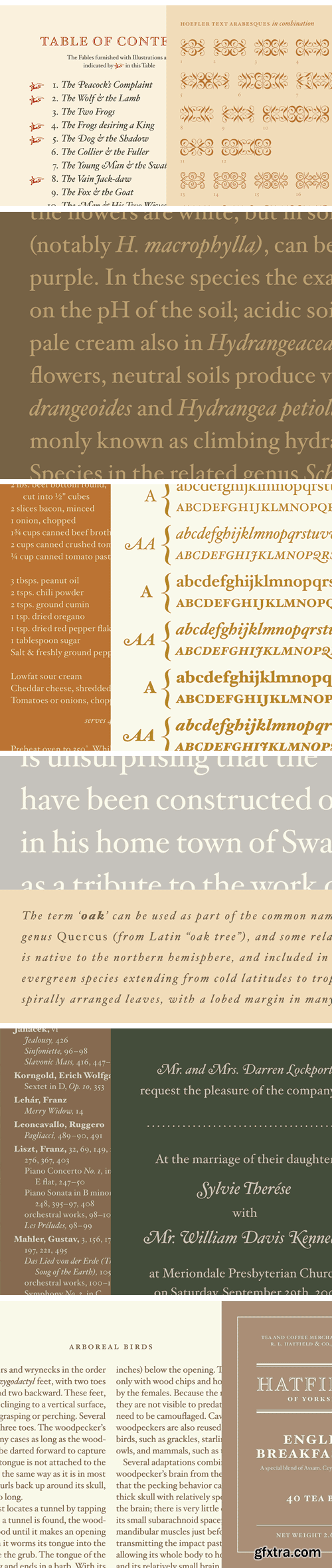 Hoefler Text Pro 2018 Font Family