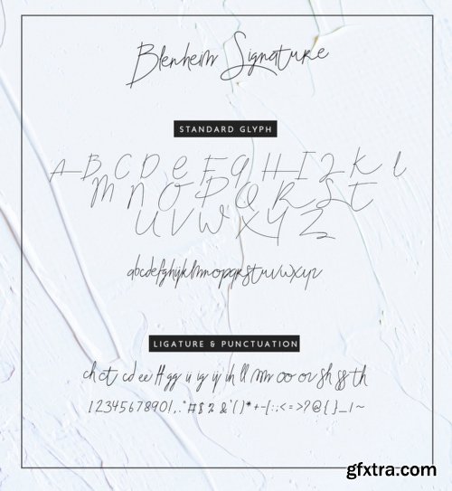 Blenheim Signature Font