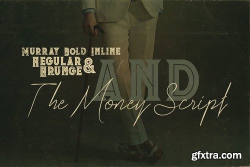 The Money Font Family - 4 Fonts