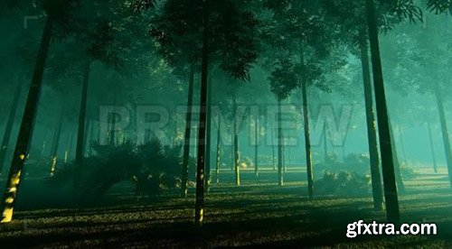 Bamboo Forest In The Fog - Motion Graphics 83699