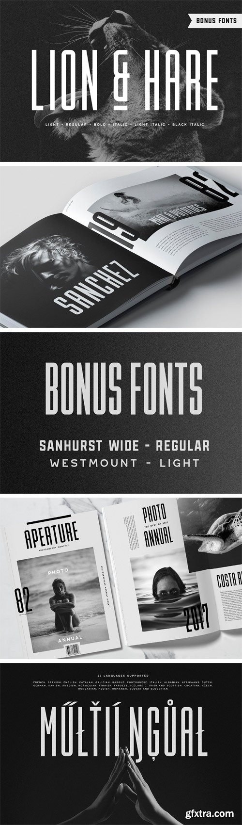 CM - Lion & Hare Font + Bonus Fonts! 2394946