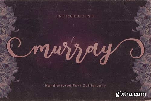 Murray Script Font Duo Font Family - 3 Fonts