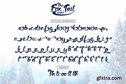 The Fox Tail Font Family - 3 Fonts